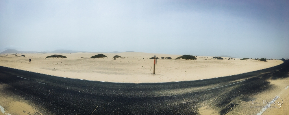 corralejo dunes.jpg