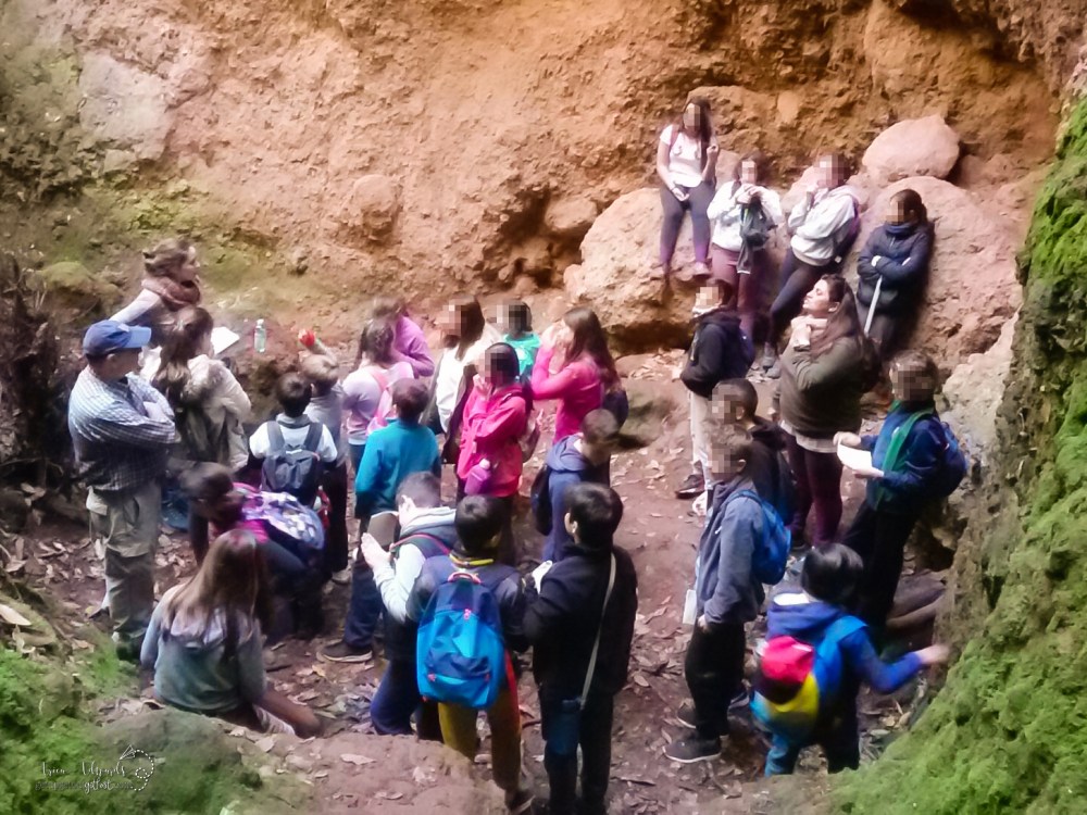 Osorio Language Immersion in Nature