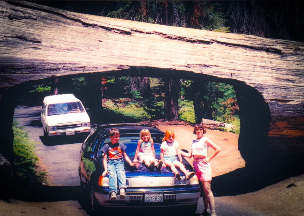 Tunnel Log: Sequoia National Park, CA